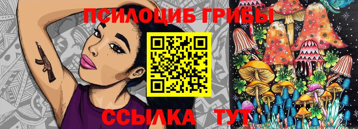 Черногорск  Псилоцибиновые грибы Magic Shrooms  Галлюциногенные грибы MAGIC MUSHROOMS  Вход с VPN 